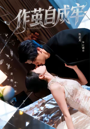 作茧自成牢（52集）全集免费