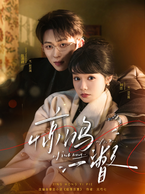 惊鸿一瞥（72集）看到大结局