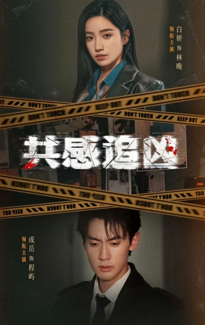 共感追凶（60集）在线免费观看
