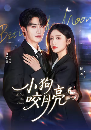 小狗咬月亮(66集) 小狗咬月亮(66集)海量资源免费看