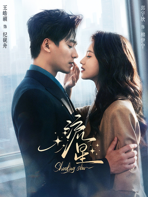 流星（77集）最热短剧推荐