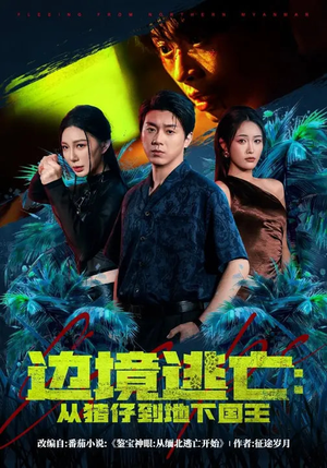 边境逃亡：从猪仔到地下国王（81集）一共多少集