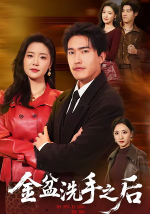 金盆洗手之后（62集）短剧在哪里看