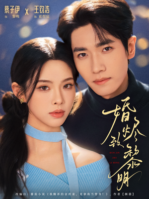 婚烬致黎明（77集）短剧精彩推荐