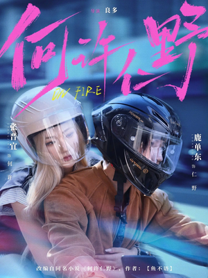 何许仁野（60集）在哪个平台看好