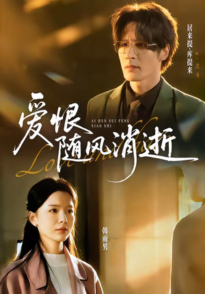 爱恨随风消逝（60集）短剧追到爽