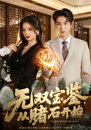 无双宝鉴，从赌石开始（70集）最新短剧推荐