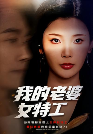 我的老婆女特工（62集）爆火短剧推荐