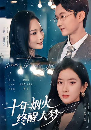 十年烟火，终醒大梦（60集）火爆短剧抢先看