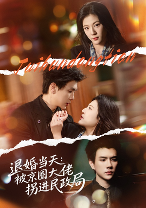 退婚当天:被京圈大佬拐进民政局(80集) 退婚当天:被京圈大佬拐进民政局(80集)最火短剧推荐