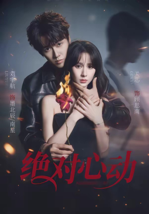 绝对心动（66集）免费观看全集