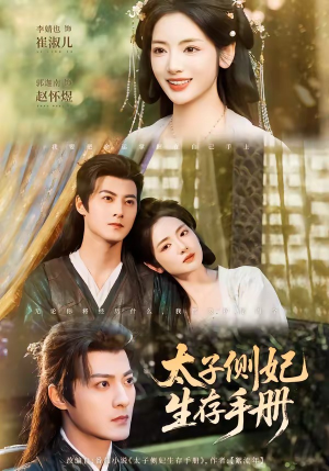 太子侧妃生存手册（63集）短剧精彩不断