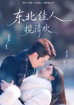 东北佳人揽清欢(80集) 东北佳人揽清欢(80集)好看吗