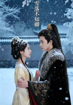 雪落不知卿(62集) 雪落不知卿(62集)短剧免费观看