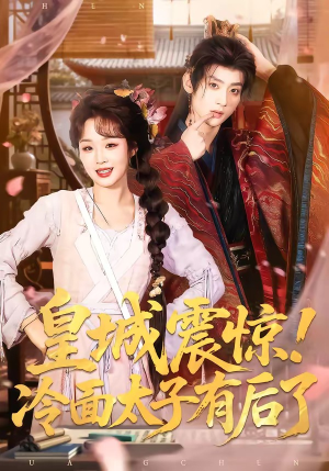 皇城震惊！冷面太子有后了（93集）演的怎么样