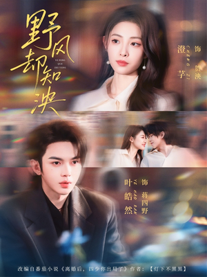 野风却知泱（80集）女频短剧推荐