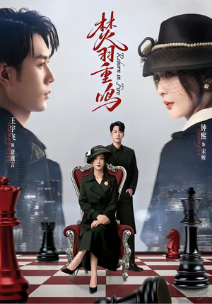 焚羽重鸣(60集) 焚羽重鸣(60集)短剧全集免费看