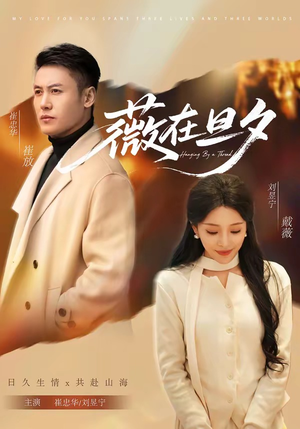 薇在旦夕（80集）免费在线看