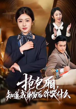 抢包厢，知道我身份后你哭什么（70集）短剧免费观看