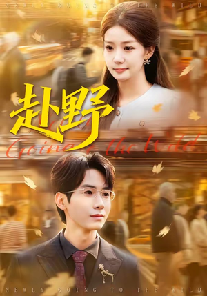 赴野（40集）免费在线看