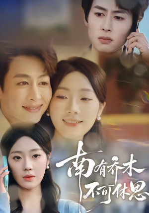 南有乔木，不可休思（68集）新短剧推荐