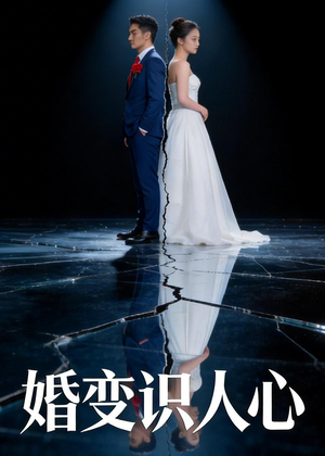 婚变识人心（54集）免费热门短剧