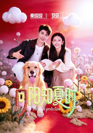 向阳知夏时（80集）最火爆的短剧