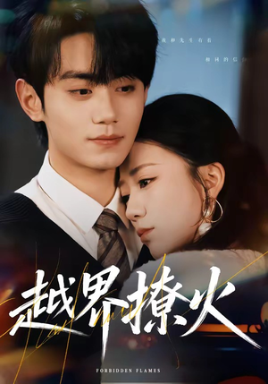 越界撩火（64集）全部免费看全集