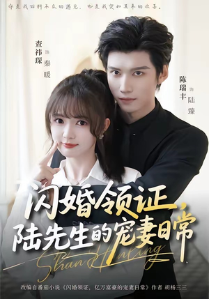 闪婚领证，陆先生的宠妻日常（86集）一口气看完全集