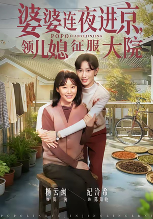 婆婆连夜进京，领儿媳征服大院（78集）热门短剧大全