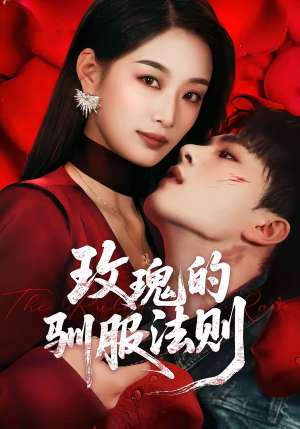 玫瑰的驯服法则（65集）更新时间一览表