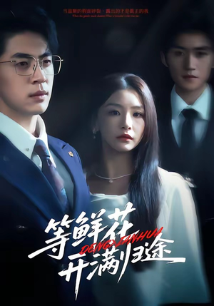 等鲜花开满归途（61集）1-102集