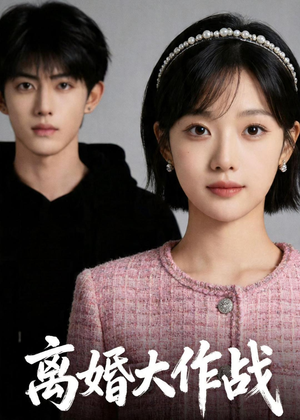 离婚大作战（52集）热门短剧免费看
