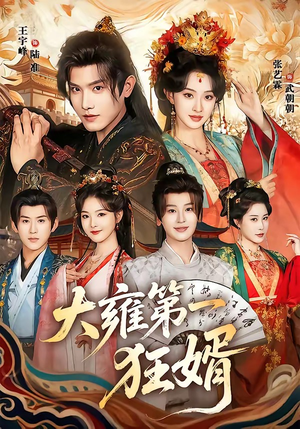 大雍第一狂婿（90集）全集下载