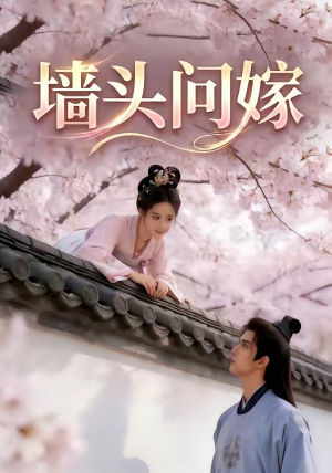 墙头问嫁（29集）百度在线观看