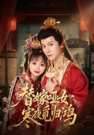 替嫁哑女寒夜觅归鸿（65集）热门短剧在线看