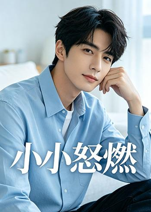 小小怒燃（19集）最新上映免费看