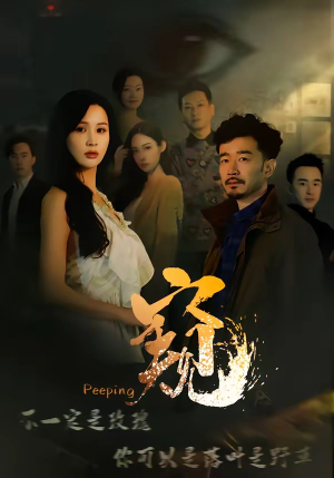 窥伺（37集）热门短剧看不停