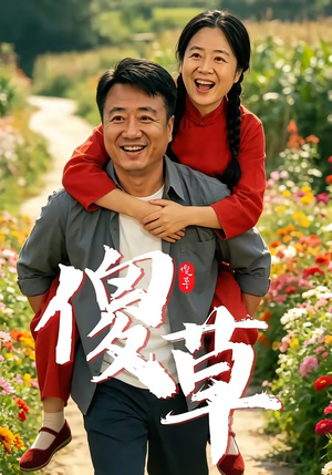 傻草（71集）短剧全集大结局