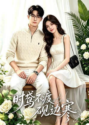 时鸢不渡砚边寒（41集）热门短剧看不停