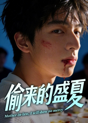 偷来的盛夏（40集）流畅播放免费看