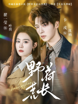 野荷荒长（86集）百万短剧抢先看