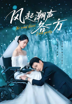 风起潮声各一方（84集）一起看短剧