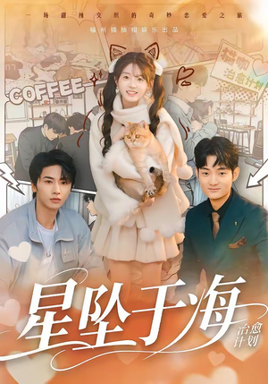 星坠于海（50集）一共多少集
