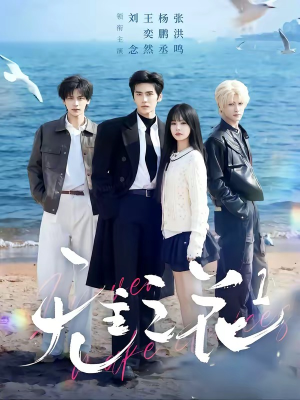 无主之花1（72集）全集一次看完