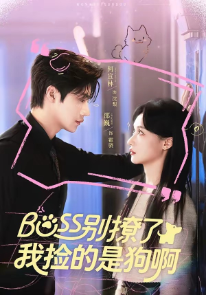 Boss别撩了，我捡的是狗呀（65集）全集都在这里了