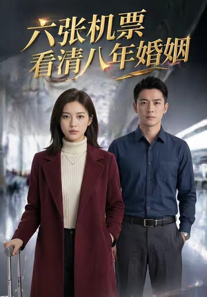 六张机票看清八年婚姻（30集）热门短剧大全