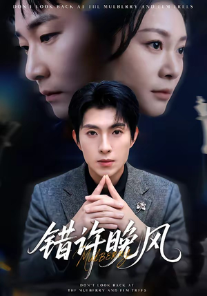 错许晚风（60集）短剧免费看