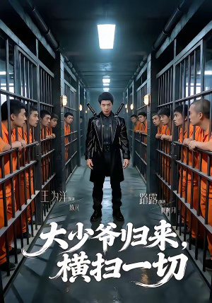 大少爷归来，横扫一切（80集）1-102集