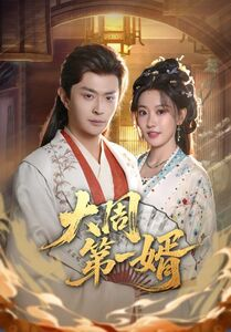 大周第一婿（114集）看到大结局